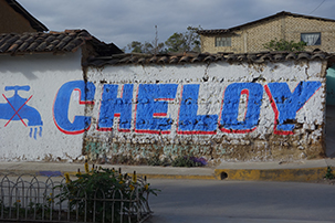 cheloyforphotoindex